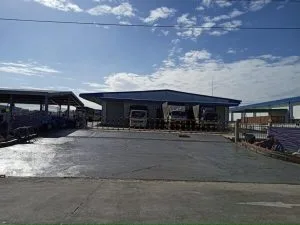 Đường Công ty - Daeyoung Vina 03