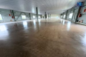 Nhà xưởng X9 - Leader Electric Appliance 11