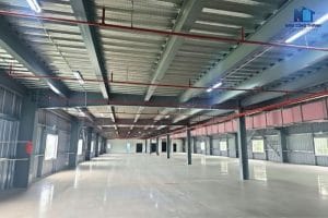 Nhà xưởng X9 - Leader Electric Appliance 13